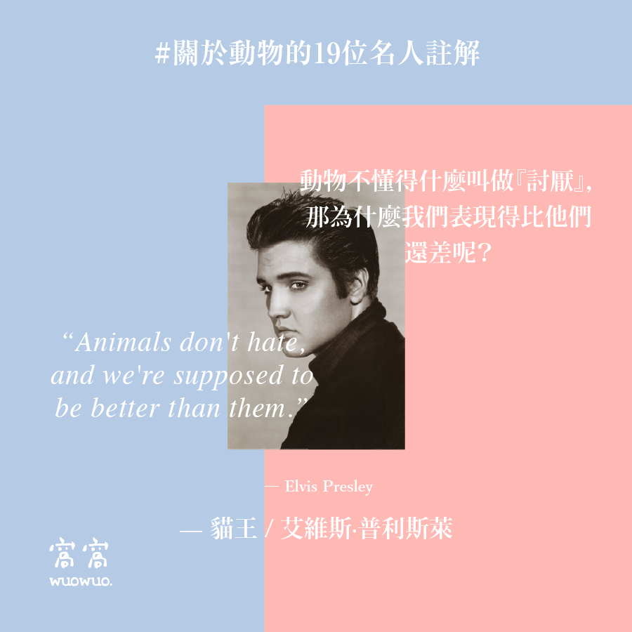 窩名人 11