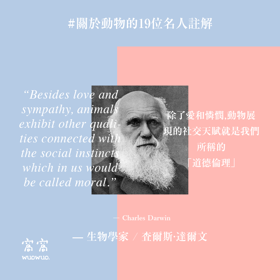 窩名人 13
