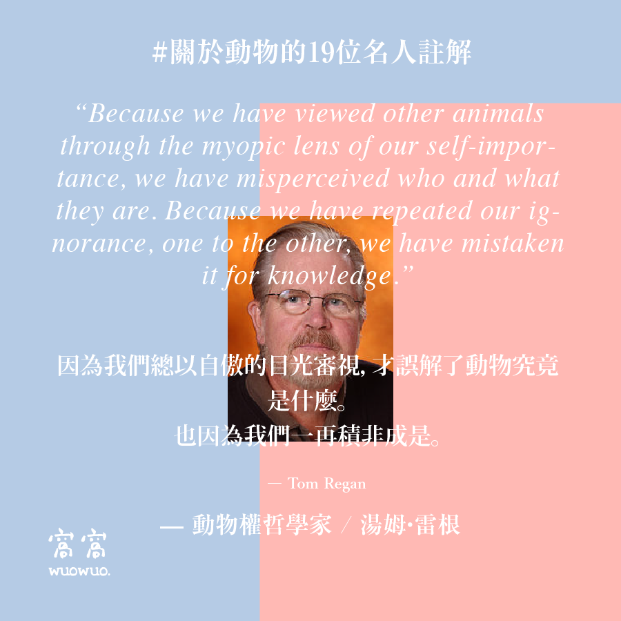 窩名人 14
