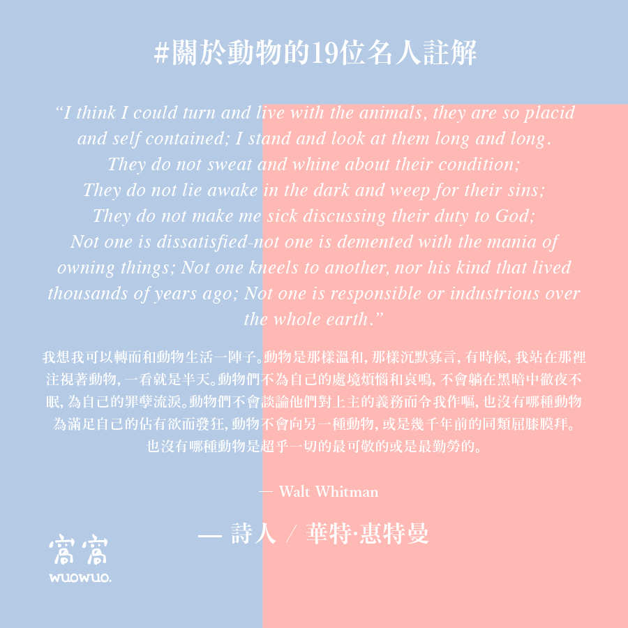 窩名人 15