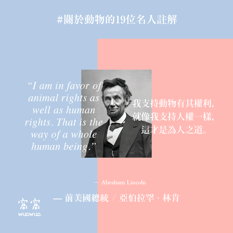 窩名人 17