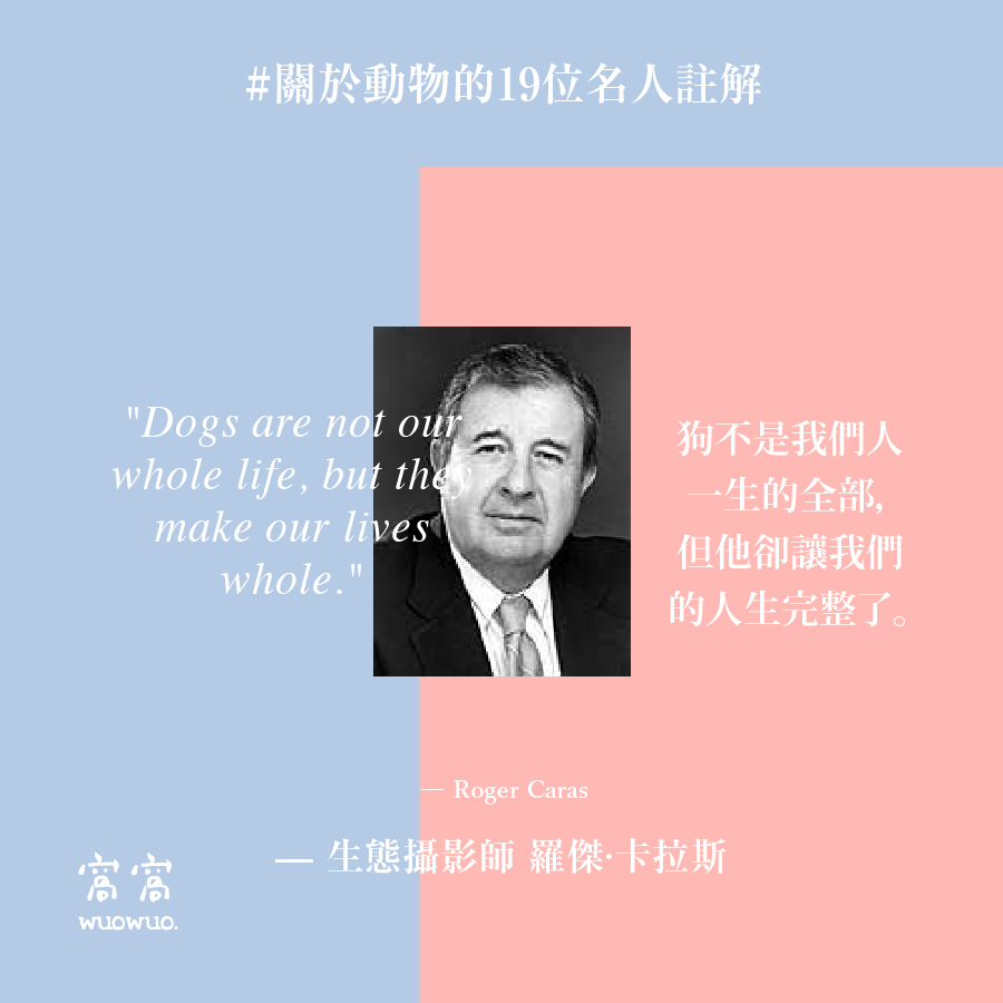 窩名人 18