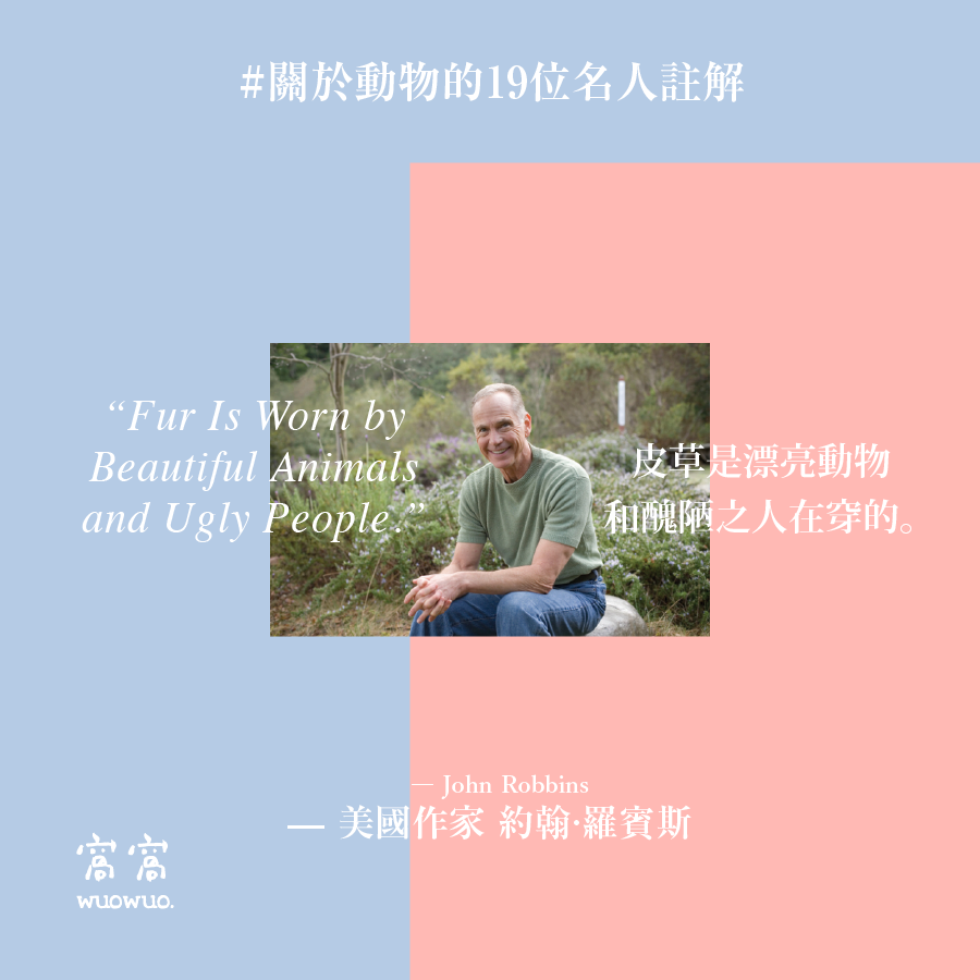 窩名人 19